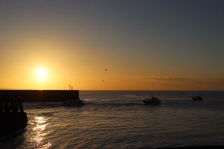 Three fishing boats leaving the harbour with the sun rising behind them and seagulls flying overhead.