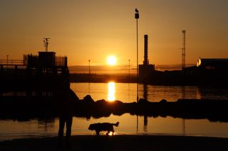 A man and a Sussex spaniel stood at the water's edge watching the sunrise over Shoreham port.