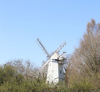 A white windmill behind some green bushes and blue skies.