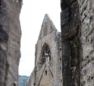 View of Tintern Abbey through a gap between walls.